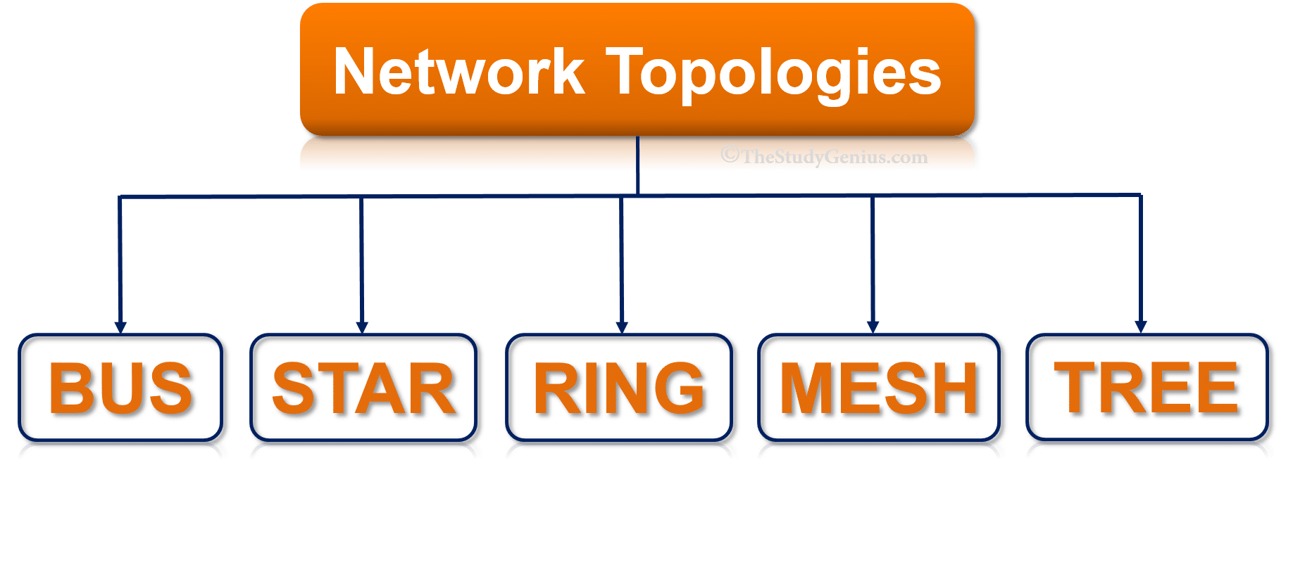 What Is Network Topology And What Are Its Different Types Images And
