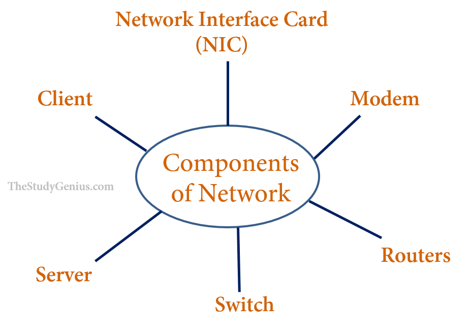 What are the components of computer network ? - The Study Genius