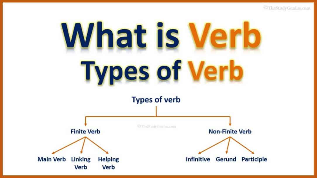 what-is-verb-and-types-of-verb-the-study-genius